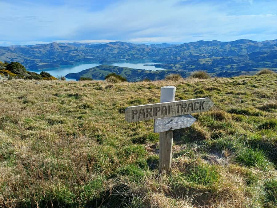 Akaroa: Lonely Beach Trail by E-Scooter. selfguided day out - Takamatua Valley Wines: organic tastings without losing the plot