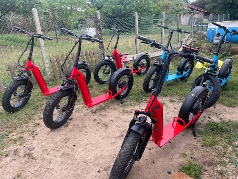 Arcachon Bay: electric scooter ride with varied routes. - Price and value: why $53 makes sense (if you pick the right option)