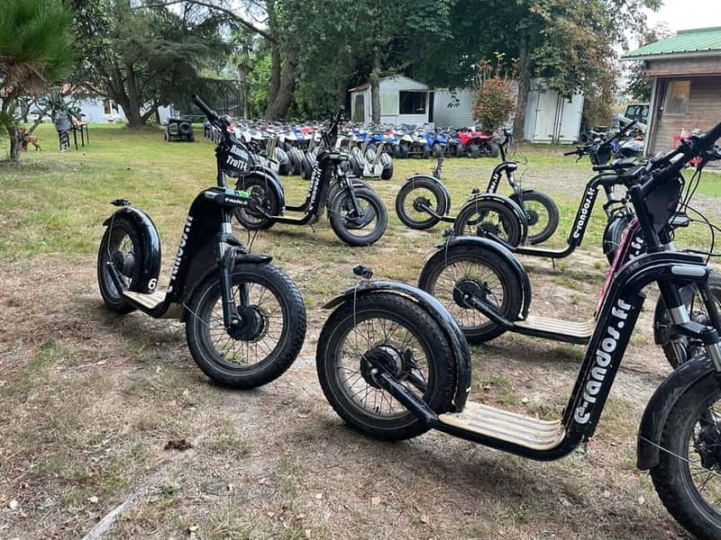 Arcachon Bay: electric scooter ride with varied routes. - Choosing your level: Discovery, Family, and Sensation