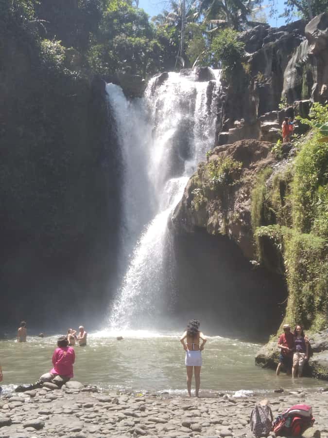 Bali Scooter Tour With Tour Guide - Ubud-side rides: Tegalalang rice fields and cultural stops