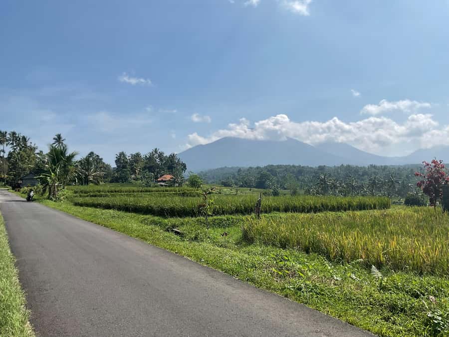 Bali Scooter Tour With Tour Guide - Temple time: Tanah Lot or Uluwatu viewpoints
