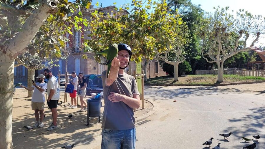 Barcelona: e-scooter and Bike tour - What the Guide Actually Adds (and Why It Feels Easy)