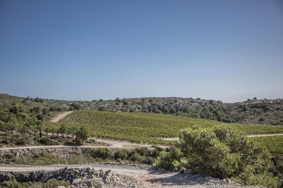 Electric Scooter Tour of Château l'Hospitalet estate - Who should book this scooter-and-tasting tour (and who should skip it)