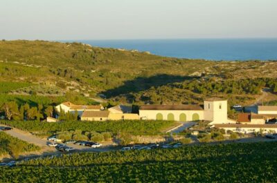 Electric Scooter Tour of our vineyard and Wine Tasting - Where you start: Château L’Hospitalet Beach & Spa timing