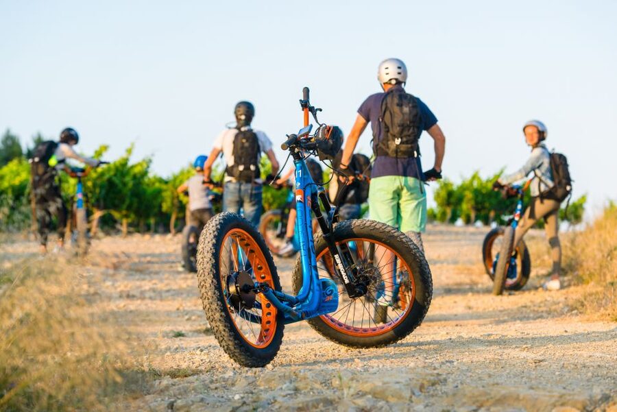 Electric Scooter Tour of our vineyard and Wine Tasting - Who this is best for (and who should choose differently)