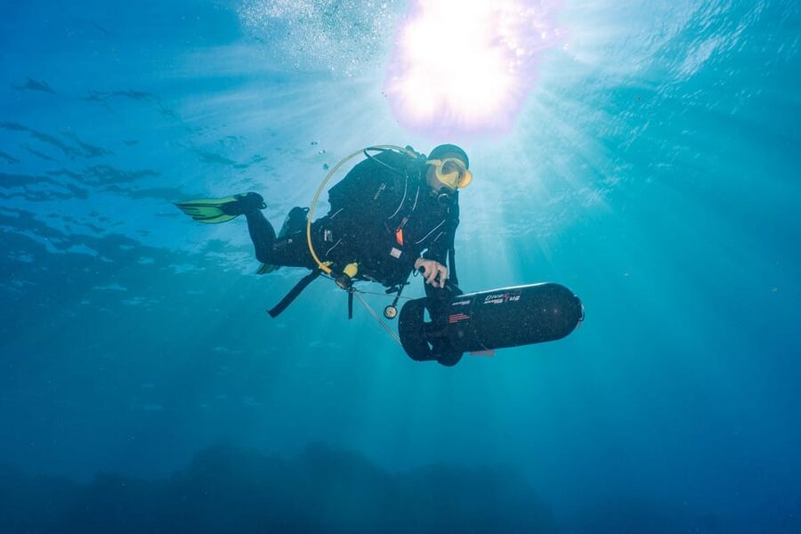 Funchal: DPV- Scooter Dive Adventure - Marine life viewing: what you’re likely to notice