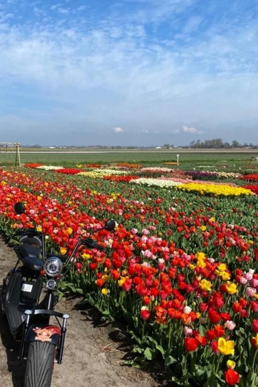 Hillegom: E-Scooter or E-Bike Rental in the Bulb Region - Key things that make Hillegom electric rentals work