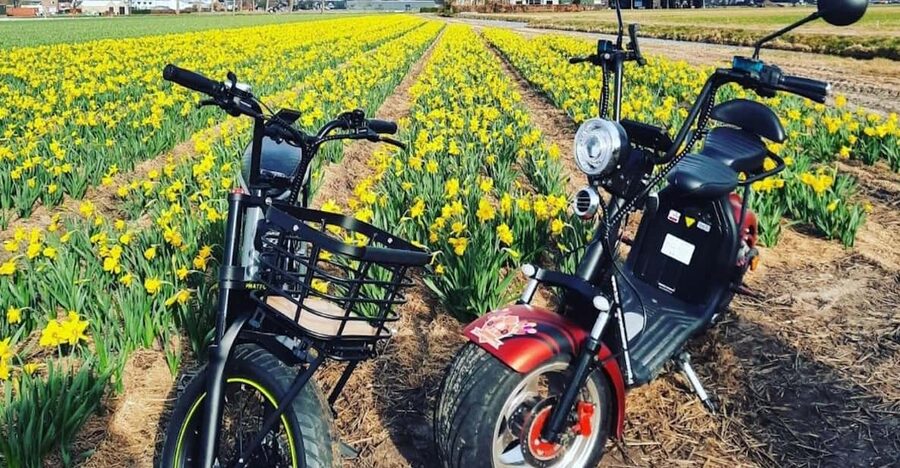 Hillegom: E-Scooter or E-Bike Rental in the Bulb Region - E-scooter vs e-bike: picking the right ride for your day
