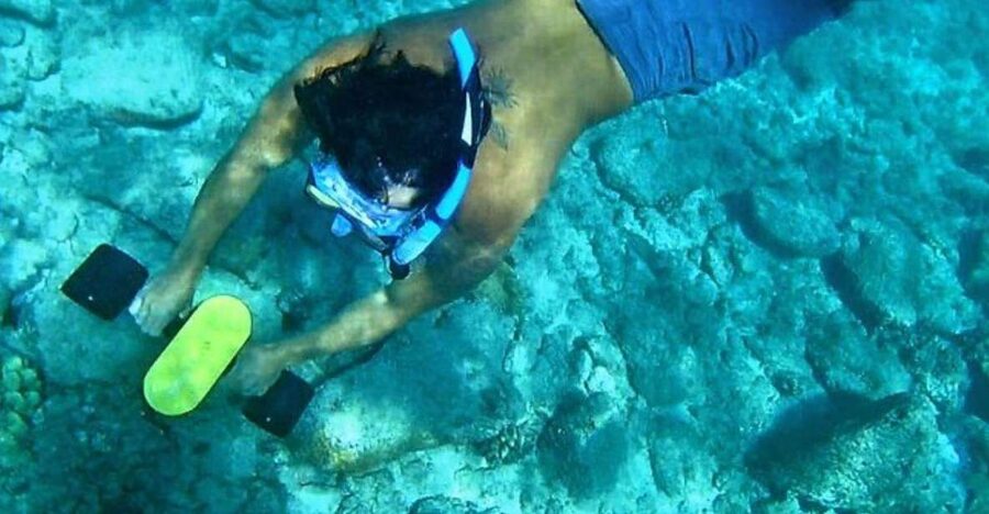 Kauai: Snorkeling Adventure with Sea Scooter - Where You Start at Harbor Mall in Lihue
