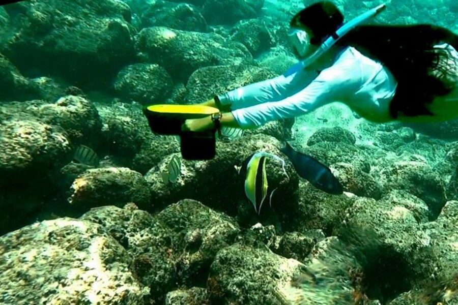 Kauai: Snorkeling Adventure with Sea Scooter - Who This Sea Scooter Snorkel Fits Best (and Who Should Skip It)