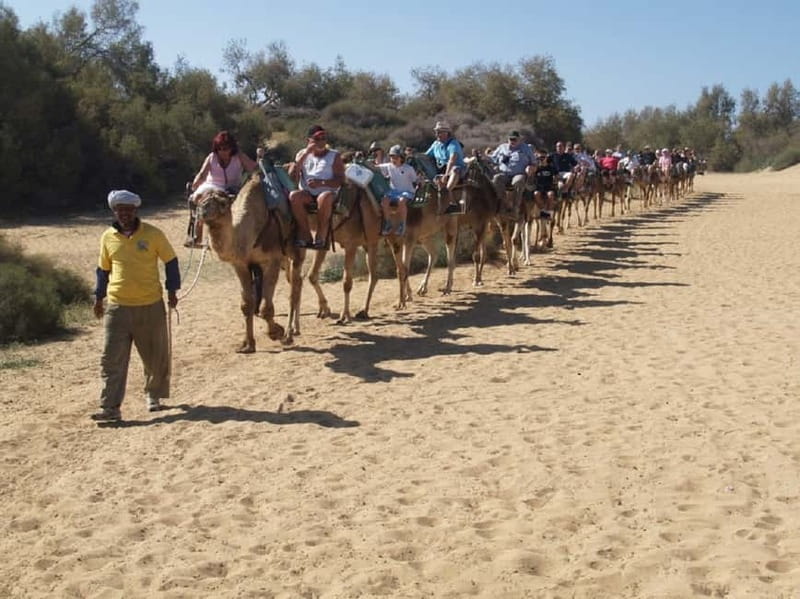 Maspalomas: 2-Seater E-Scooter Dunes Tour with Camel - Road-Only Riding Means You’ll Focus on Views and Landmarks