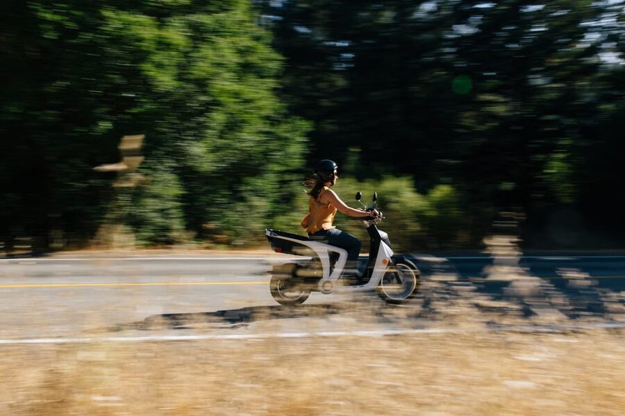 Monterey: Scenic Half-Day Self-Guided Electric Scooter Tour - Lover’s Point and Perkins Park: Scenic Breaks Between Wildlife Stops