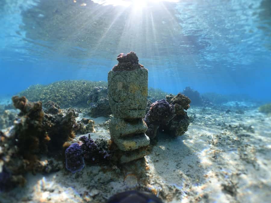 Moorea: Sea Scooter Snorkeling Tour - Who This Tour Fits Best (and Who Should Skip It)