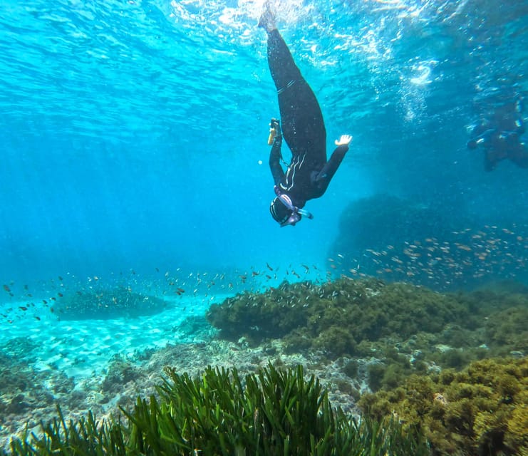 Nerja-Maro: Snorkeling & Sea Scooter Speedboat Trip - Why Nerja-Maro and Cerro Gordo cliffs are a smart use of 2 hours