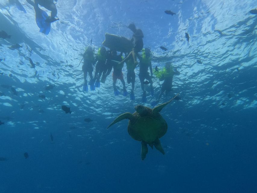 Oahu Snorkeling with Turtles, Water Scooter, Paddleboard - Snorkeling Setup: Gear You Get, and Tips That Make It Easier