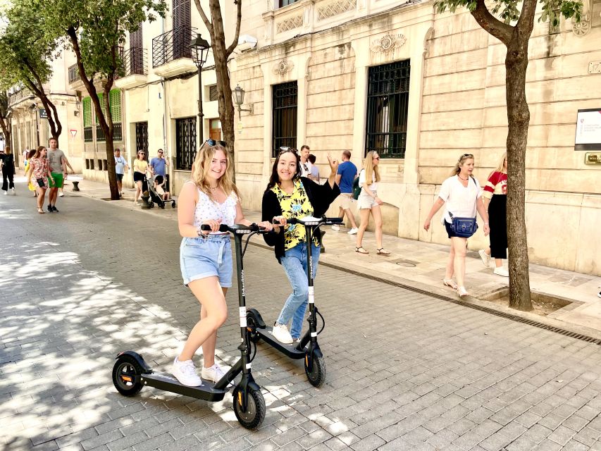Palma: Guided 1.5 H city tour on Electric scooter - Meet Near the Cathedral and Get Oriented Right Away