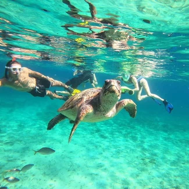 Paphos: Turtle-Watching Snorkeling Sea Scooter Trip - Meeting at Tombs of the Kings and getting to the beach