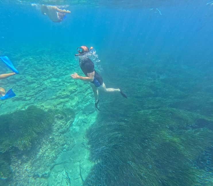 Paphos: Turtle-Watching Snorkeling Sea Scooter Trip - What you’ll see besides turtles: fish, corals, and the bay’s small surprises