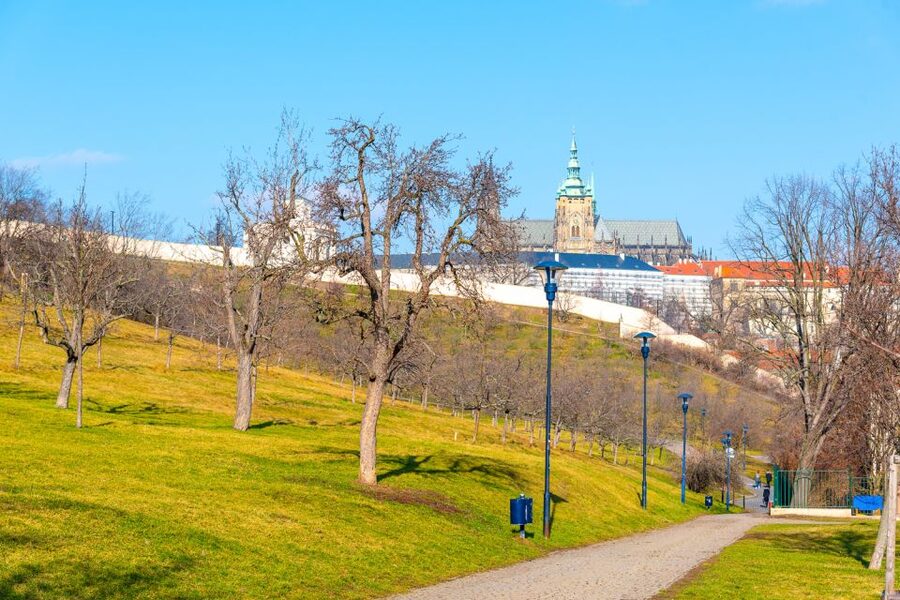 Prague: 4-Hour Segway and Scooter Tour with Lunch and Drinks - Key highlights worth your time