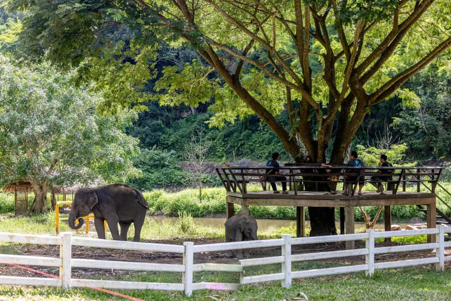 Scooter Adventure incl Elephants, Cave - River Crossings: Why Seasonal Water Checks Change Everything
