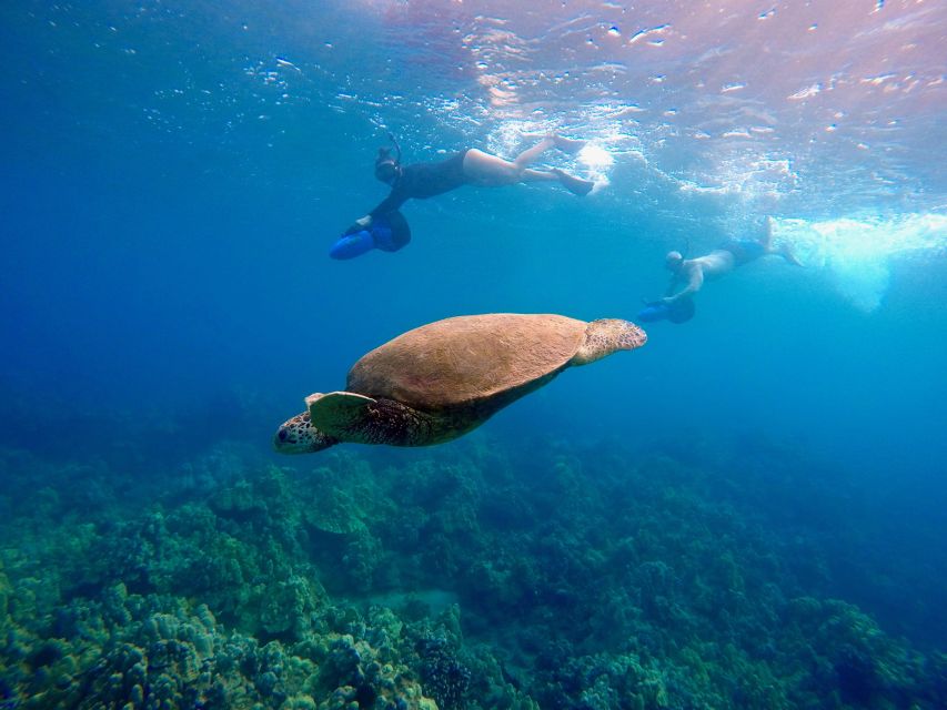 Sea Scooter Snorkeling Guided Tour - Wailea Beach - Why Sea Scooter Snorkeling at Wailea Beach Feels Different