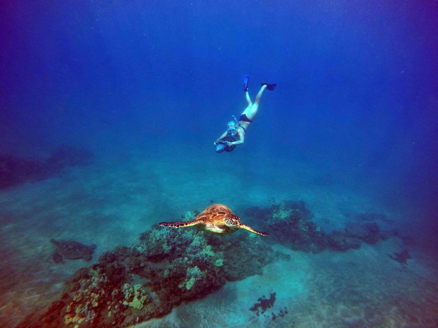Sea Scooter Snorkeling Guided Tour - Wailea Beach - Getting There and Meeting at Wailea Beach Parking