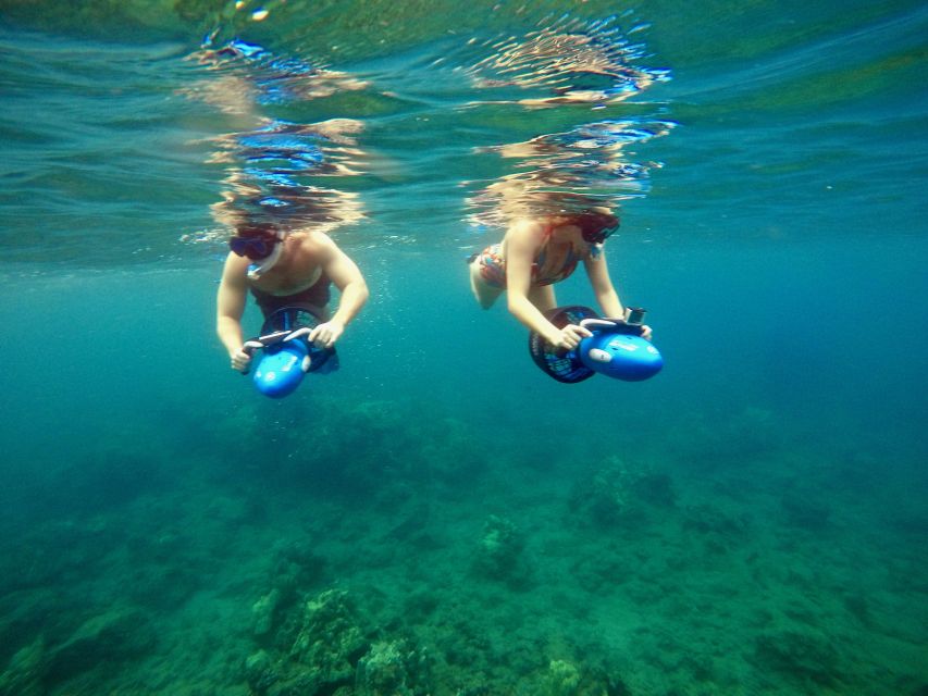 Sea Scooter Snorkeling Guided Tour - Wailea Beach - What You Might See: Marine Life Highlights That Make It Worth $149