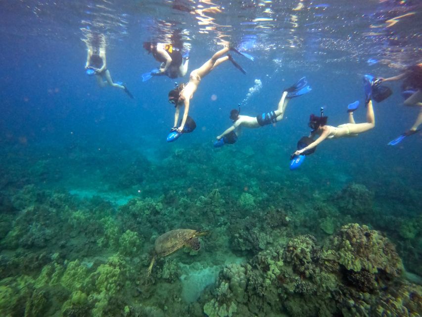 Sea Scooter Snorkeling Guided Tour - Wailea Beach - Gear and Comfort: What’s Included, What’s Optional, What to Bring