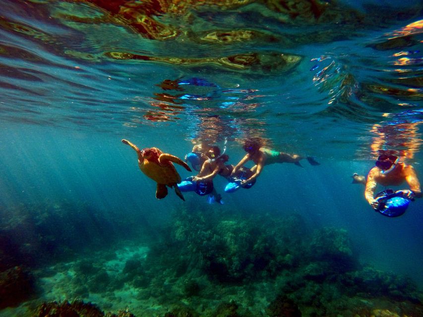 Sea Scooter Snorkeling Guided Tour - Wailea Beach - Who This Tour Fits Best on Maui (and Who Should Skip It)