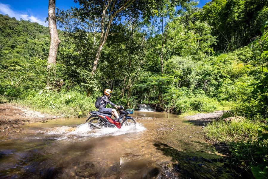 The REAL Thailand on a scooter. Check reviews !! - Lunch With Elephants: A Midday Break That Changes the Mood